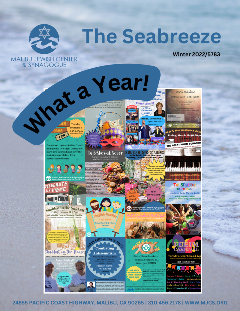 Seabreeze Discount Codes 2024 - Taffy Federica